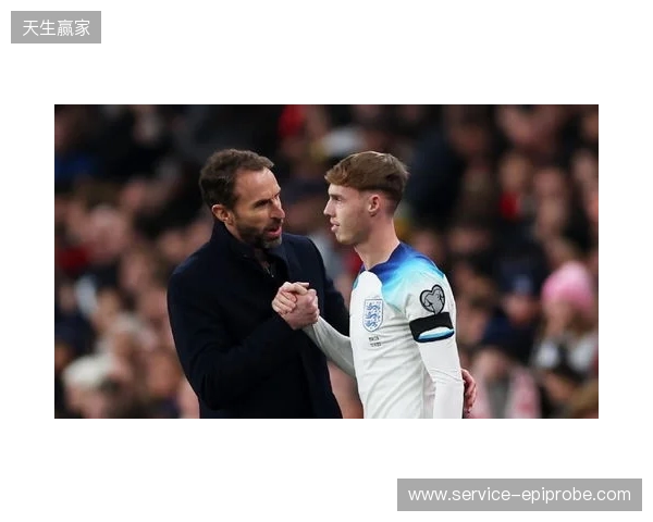 图赫尔谈10号位：一阶段考察帕尔默&福登；二阶段贝林&罗杰斯